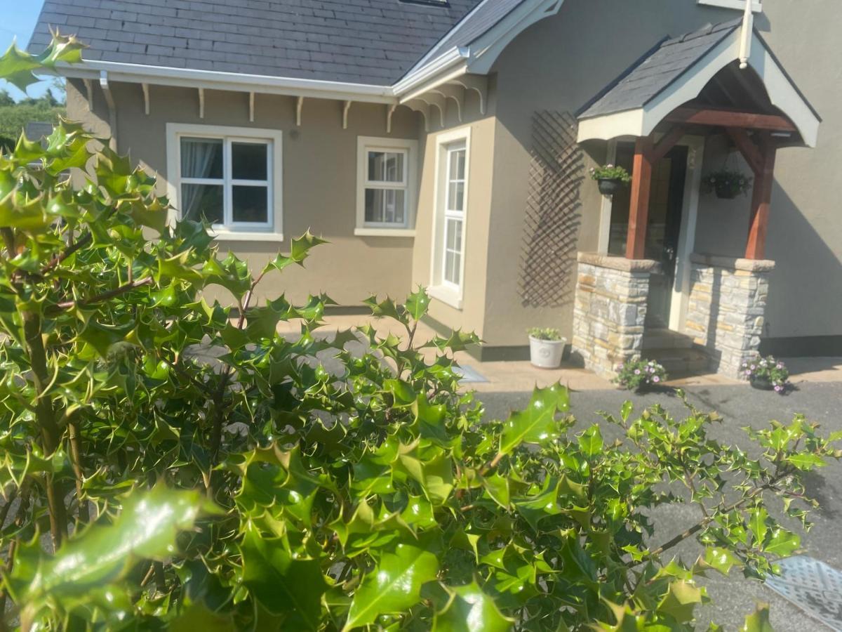The Lodge Donegal Town Exteriér fotografie